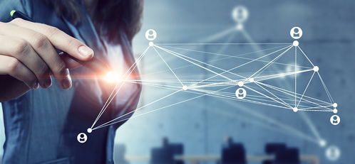 法国维莱尔国际商学院MBA报考条件为何限定工作经验，及网络技术服务类申请者优势