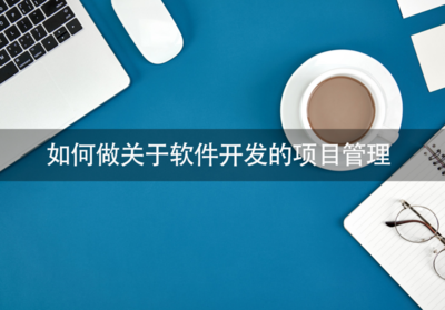 软件开发项目管理的实用指南
