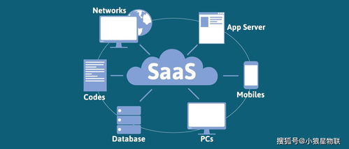物联网技术在汽车定位管理中的应用 小狼星IoT团队的车联网智能化管理服务